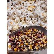 Rainbow Popping Corn - per lb