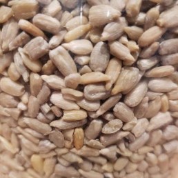 Raw Sunflower Seeds - per lb