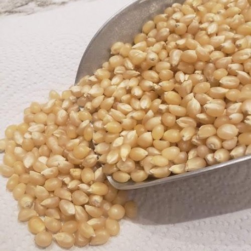 White Popping Corn - per lb