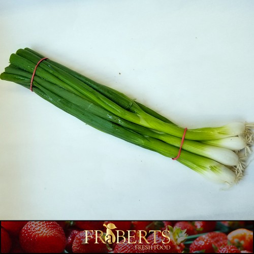 Green Onions - bunch Green Onions - bunch